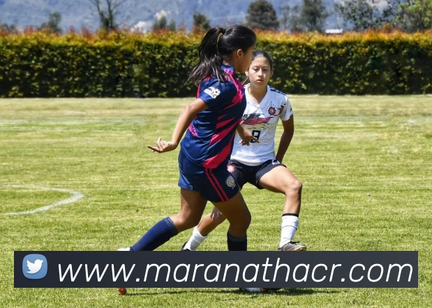 未来规划